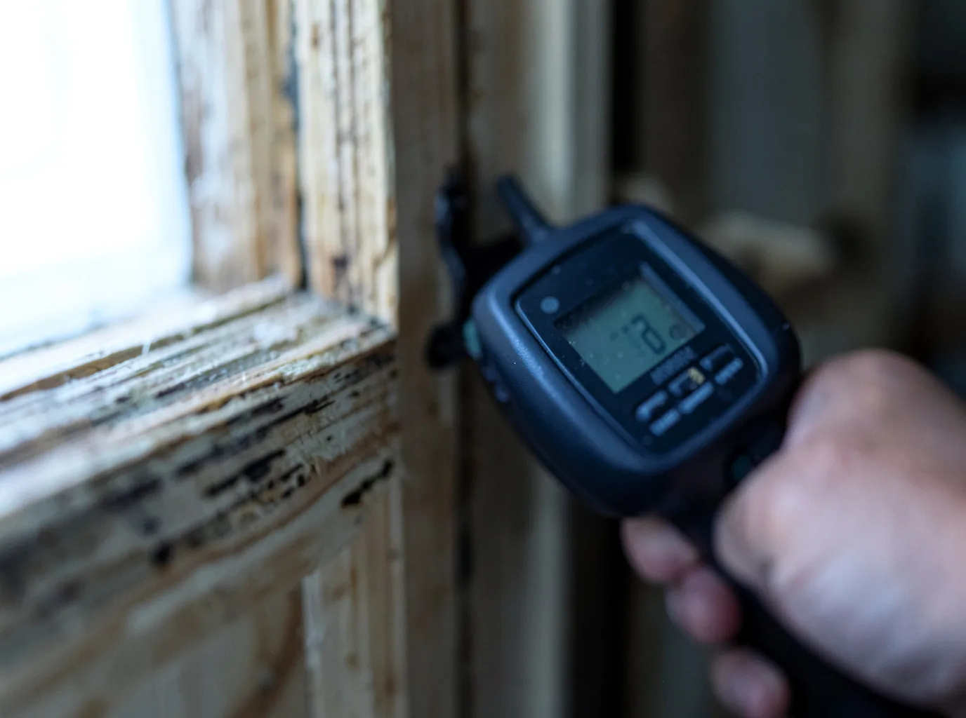 Moisture Inspection And Documentation in Roberts, ID